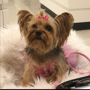 Meet your Posher, India